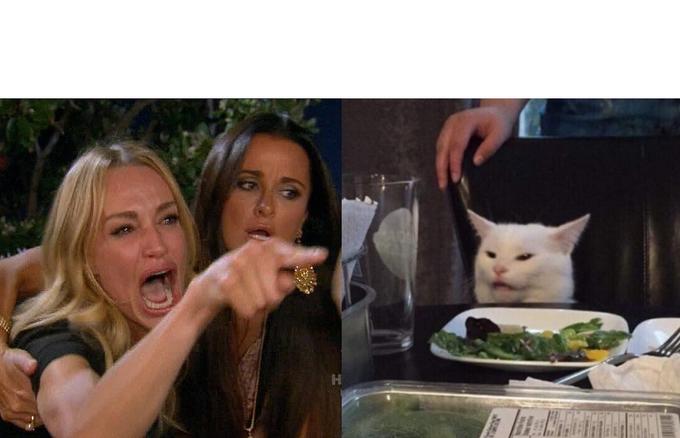 Woman Yelling at Cat meme template preview